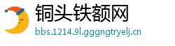 铜头铁额网